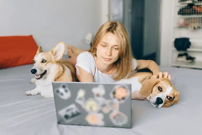 Pet Insurance